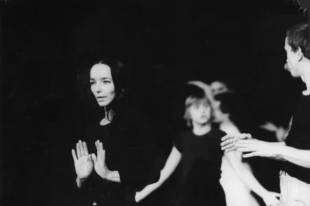 W centrum stoi aktorka widoczna od pas w górę. Stoi zwrócona twarzą w stronę widza. Ma delikatnie uniesione ręce i pokazuje wnętrza dłoni. Ma szczupłą twarz, wysokie czoło i duże oczy. Po prawej stronie stoi aktor. Widać tylko jego fragment. Jest zwrócone w stronę widza profilem. Ma delikatnie uniesione ręce. W tle niewyraźnie widać grupę aktorów i aktorek. Wyglądają, jakby tańczyli.